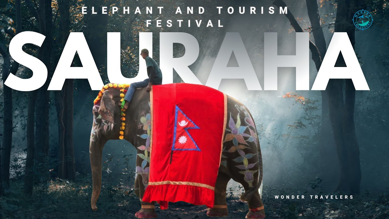 Краткий обзор Фестиваля слонов и туризма | Полное видео скоро будет доступно на Wonder Travelers