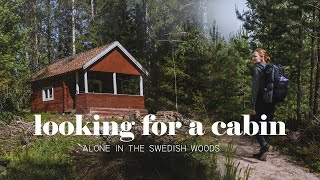 i went looking for a cheap cabin in the northern sweden woods (story 1)