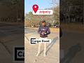 PLOT FOR SALE IN JALPALLY HYDERABAD