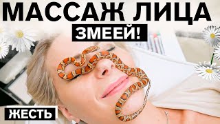 Жесть - Массаж Лица Змеей!