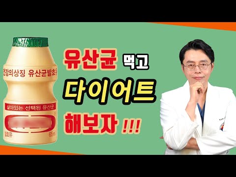 살빠지는 유산균은 따로있다!! // 프로바이오틱스 다이어트