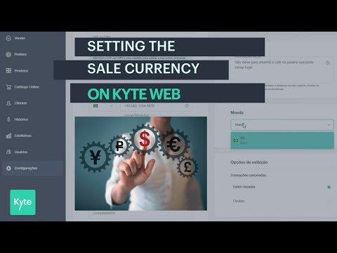 Kyte Systems Inc