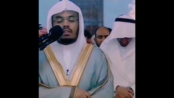 تلاوة مبكية تزلزل القلوب 💔