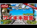 【ポケハツアー】3ヶ月ぶりにワイキキを歩いたらいろいろ変わっていた!今のカラカウア通りをめぐる60分間のワイキキ散歩【ハワイの今】【4K】