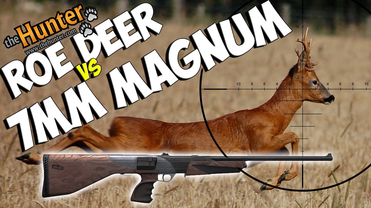 7mm Magnum Roe Deer Obliteration - theHunter 2014  PC Gameplay w/leeroy & lonewolf