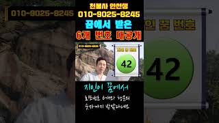 [천불사 안선생] 꿈에서 받은 6개 번호 대공개!! screenshot 2