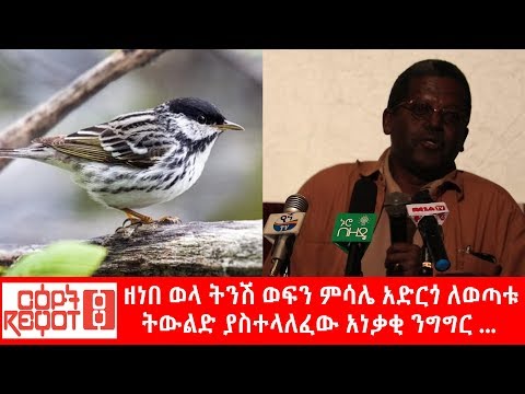 ቪዲዮ: አቱ አምላክ የቱ ነው?