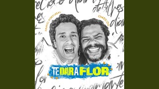 Te Dar a Flor
