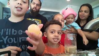 Bouncy Egg experiment