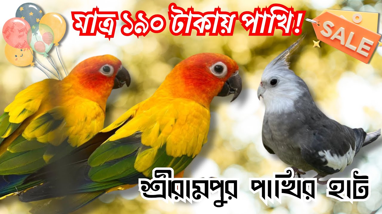 এত কম দামে পাখি! মাত্র ১৯০ টাকা 😱 | Shrirampur Bird Market | Serampore