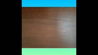 Ride Dilophosaurus Dilop İle Bir Gün Geçirdik Ve Fossil Egg Aldık Roblox Adopt Me