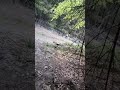 Еще одним удалось вырватся