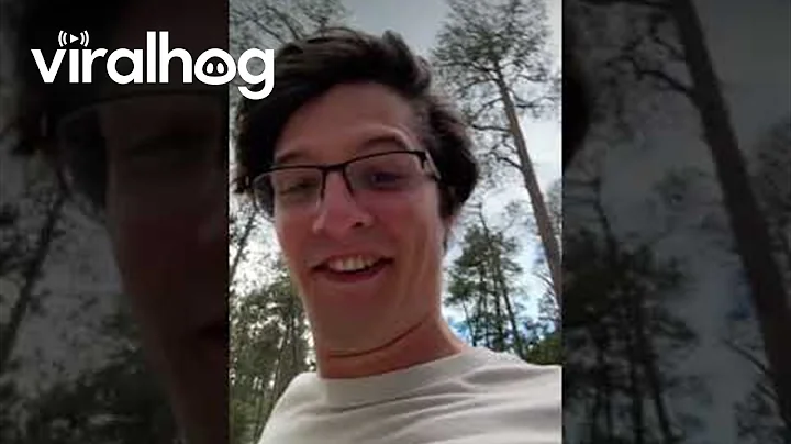 Guy Narrowly Avoids Falling Tree Near Devils Tower || ViralHog