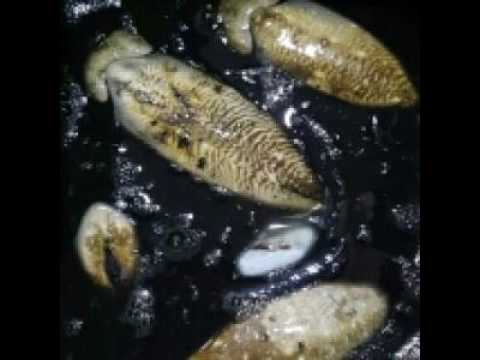 [TJ노래방라운지] 백년의약속 - 김종환