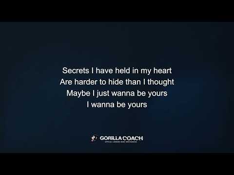 Arctic Monkey I Wanna Be Yours Lyric Video