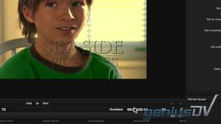 Avid Davinci Resolve Round Trip