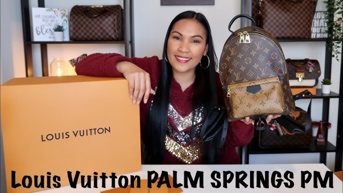 Bag Organizer for Louis Vuitton Palm Springs PM Backpack