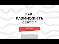 Как размножить векторную иллюстрацию / как создать симиляры для стоков (часть 1)