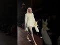 [ Paris Fashion Week ] Mihara Yasuhiro SS25 ㅡ Pap magazine