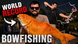 BOWFISHING A WORLD RECORD | Ultra Clear Water