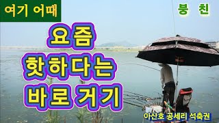 요즘 가장 핫한 곳중 한곳, 바로 거기  #붕어낚시 #붕어 #낚시 #대물낚시 #아산호 #공세리 #배수기 #무더위 #장마 #민물낚시  #캠핑 #여기어때 #월척