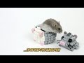 LEGO Ideas Dwarf Hamster project