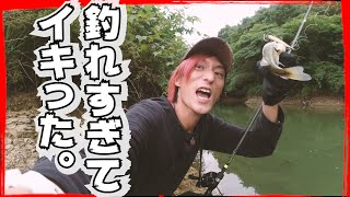 【DAIWA】プロップベイト「ガストネード」で爆釣した。【バス釣り】