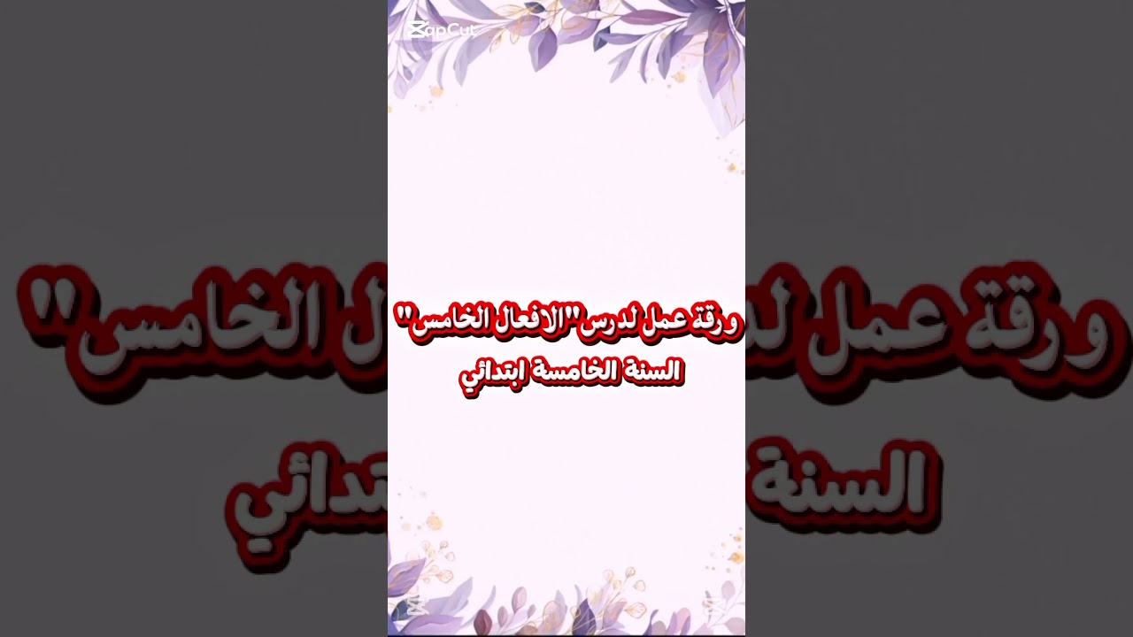 ١١ نوفمبر ٢٠٢٥