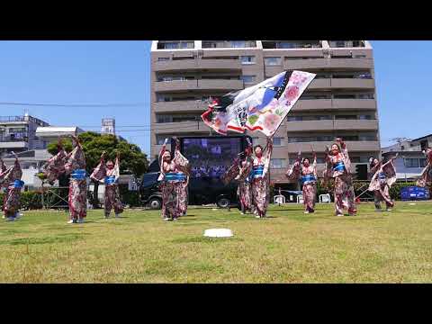小俣組（2018湘南よさこい）