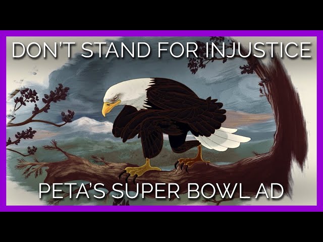 Commercial - Tony Pro Peta Commercial