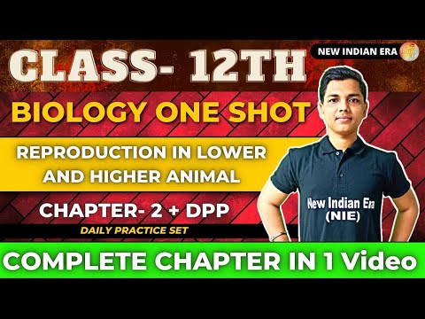 One shot +