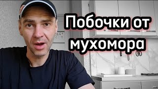 Побочки от мухомора. Чего вы лишитесь, употребляя гриб 🍄