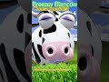 Breezey Blancow Cheese Specialist on the very best cheese