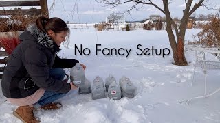 Winter Sowing Flower Seeds in Jugs (No Grow Lights & No Fancy Equipment)