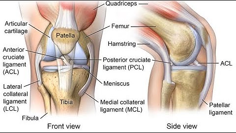 Disarticulation at knee CPT code - simplify medical coding