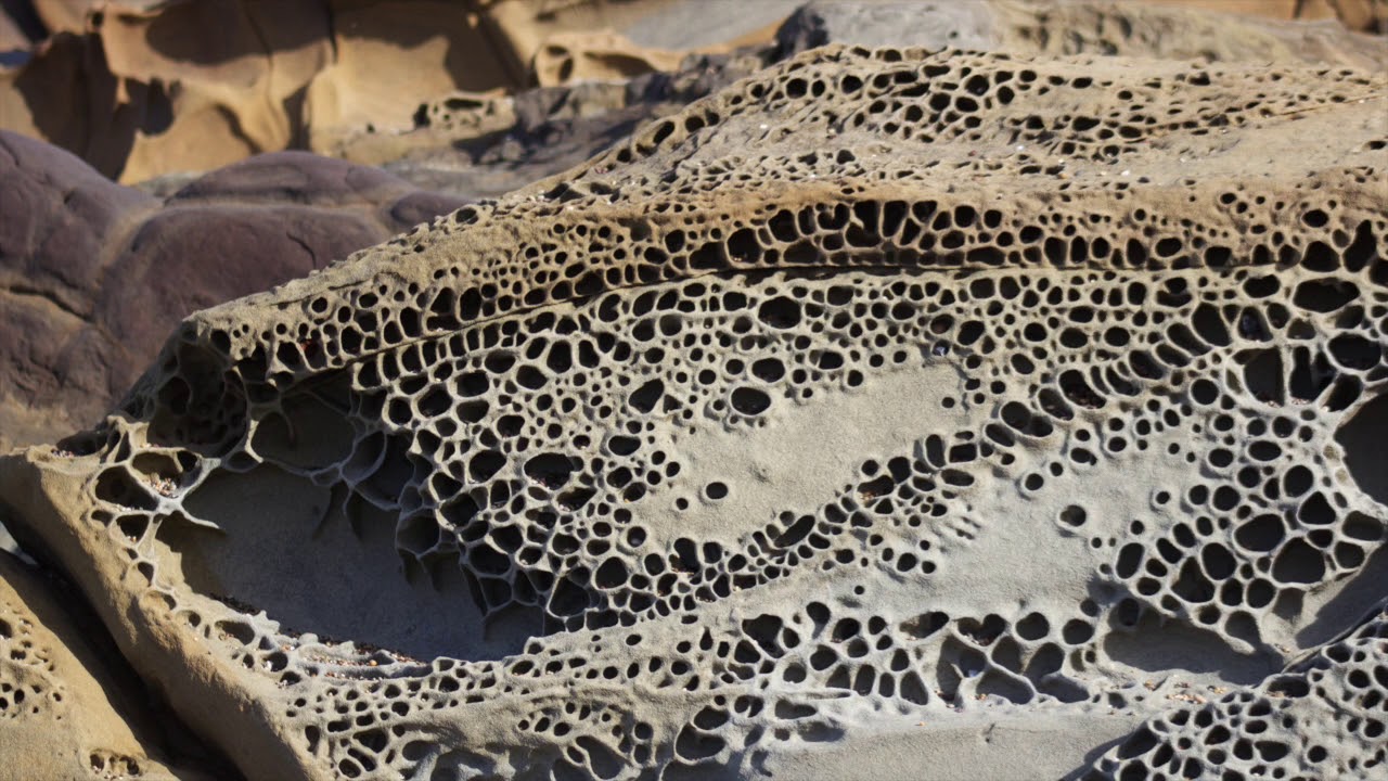 Bean Hollow Beach Geological Gallery YouTube