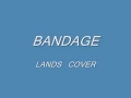 BANDAGE  LANDS  COVER