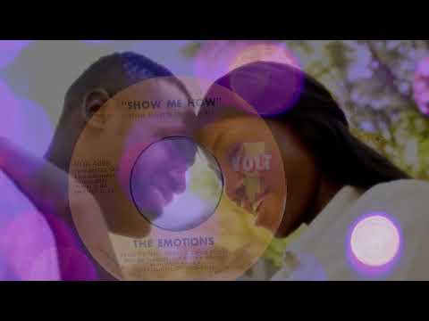 Cover Show Me How - The Emotions