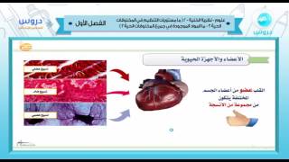 السادس الإبتدائي | الفصل الدراسي الأول 1438 | علوم | نظرية الخلية 2