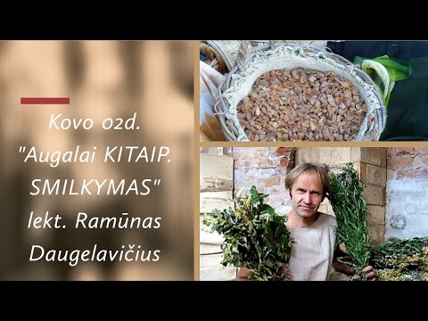 Video: Džiovintas čiobreliai (čiobreliai) - Kalorijų Kiekis, Naudingos Savybės, Maistinė Vertė, Vitaminai