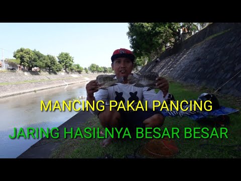 mancing-pakai-pancing-jaring-dapet-nila-besar-besar..??!!!