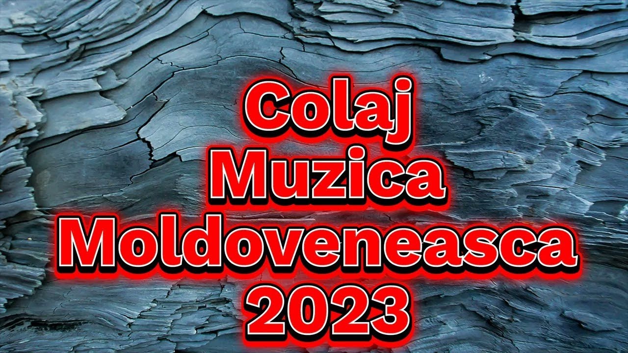 Muzica de petrecere moldoveneasca,2023,Muzica de PETRECERE