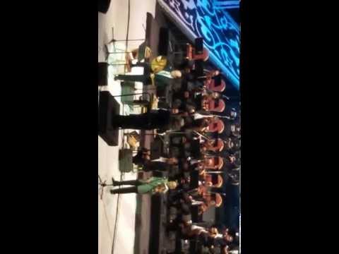 الفن صفوان و سعد محمد حسن