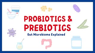 Prebiotics Prebiotics Gut Microbiome Explained