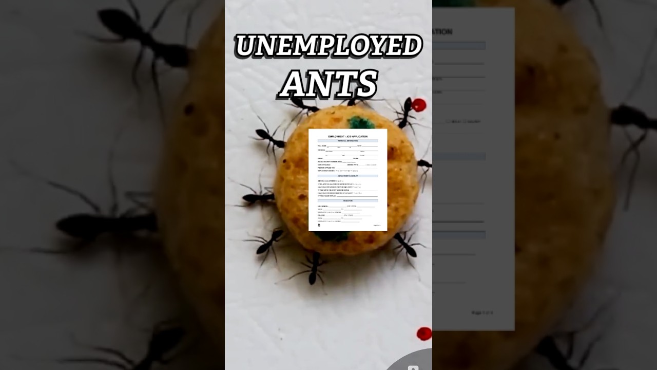 Jobless Ants