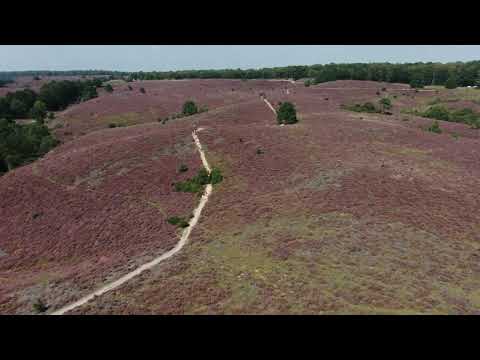 Drone Experience Putten - Posbank Arnhem