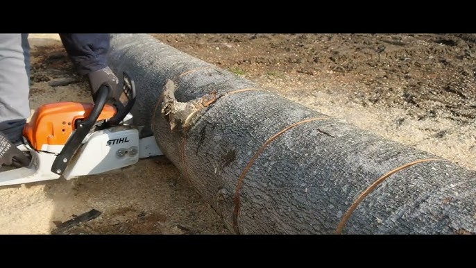 Stihl MS 291, Cutting Challange, 3/8 vs. .325