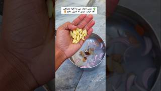 “Powerful Desi Kawa for Cold & Cough 🌿” #shorts