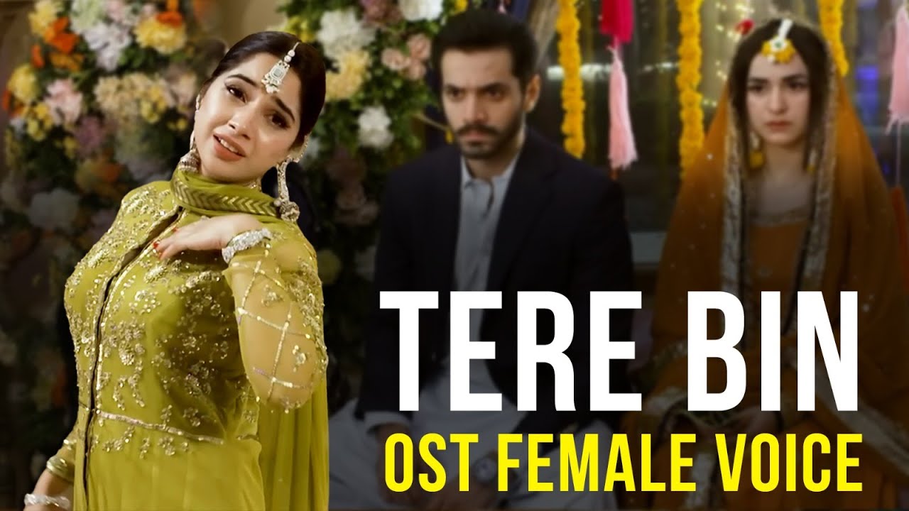 Tere Bin  Ost   Female Voice  Nimral Roy  ft Ymna Zaidi Wahaj Ali  Har Pal Geo