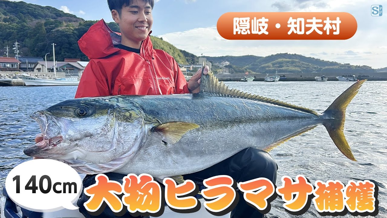 隠岐・知夫村】大物ヒラマサ捕獲！ 140cm、22.5kg 釣り上げた後も大変